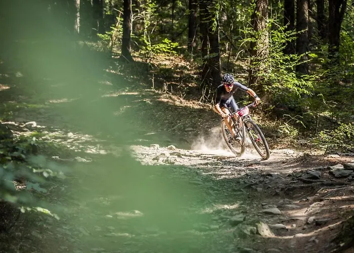 Gustav Kaiser - 60qm Design Zittauer Gebirge - In Historischer Altstadt Im Dreiländereck Apartment